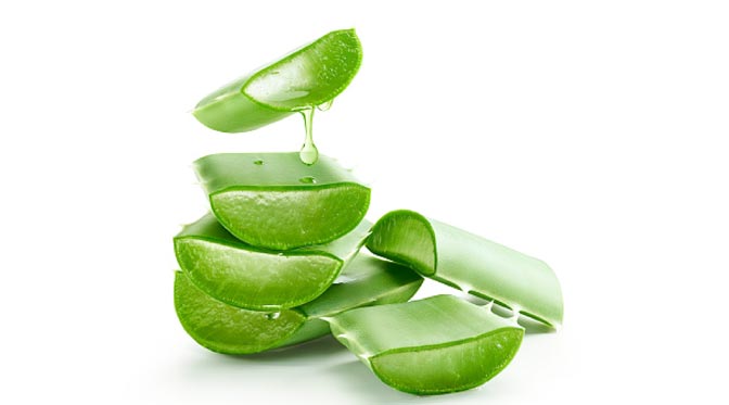 ALOE VERA