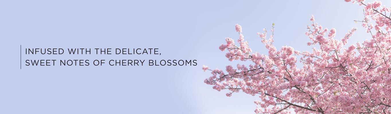 Blooming Garden Hand Lotion Banner