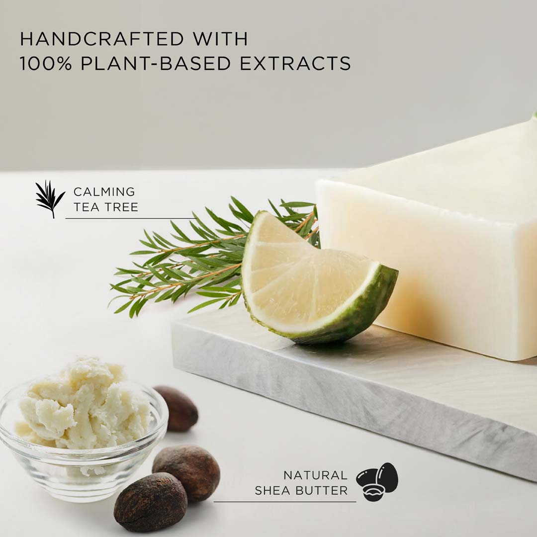 Ignis Shea Tea Tree Soap