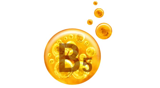 B5