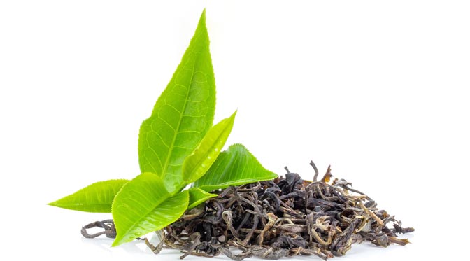 Tropical Forest Bubble Bath