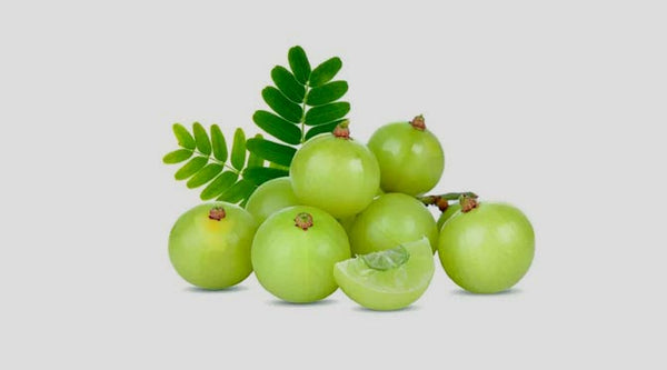 Amla Extract