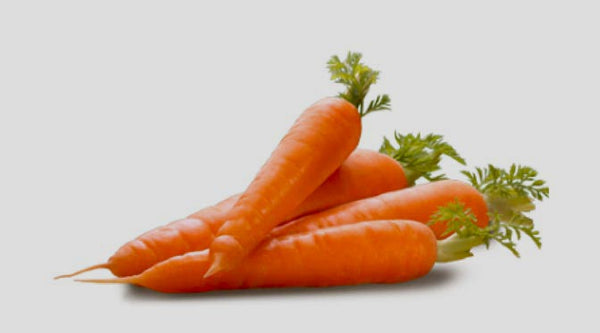 Carrot Extract