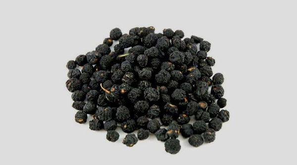 Tasmanian Pepperberry