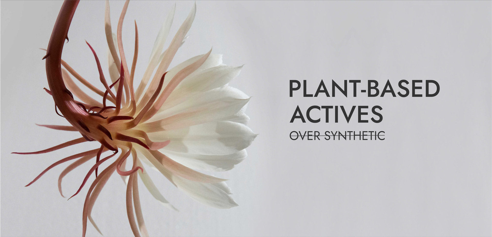 Plant based