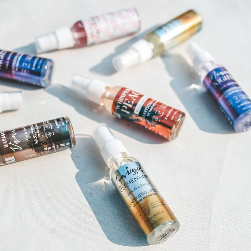 Travel Friendly Sanitizer Combo